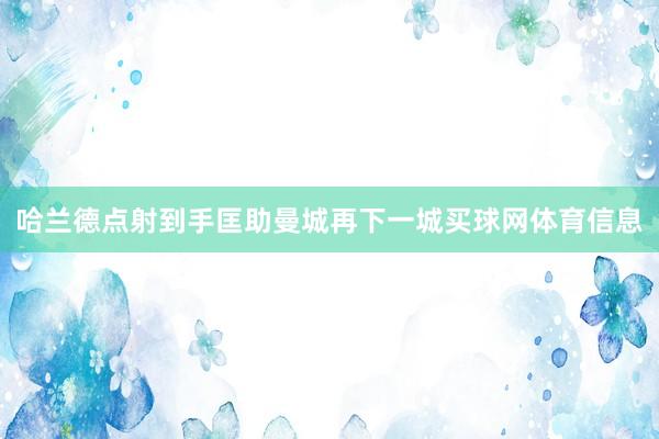 哈兰德点射到手匡助曼城再下一城买球网体育信息