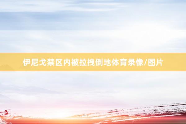 伊尼戈禁区内被拉拽倒地体育录像/图片