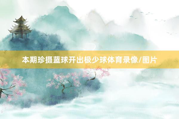 本期珍摄蓝球开出极少球体育录像/图片