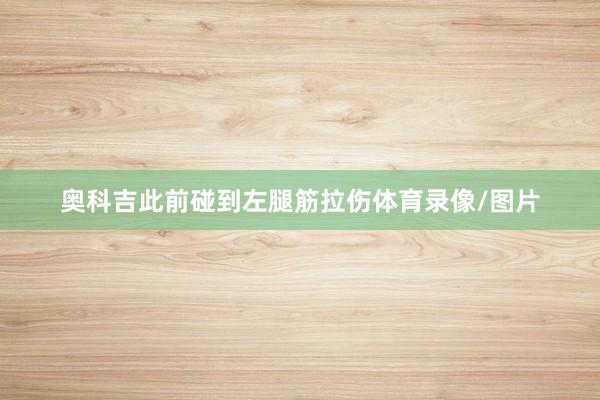 奥科吉此前碰到左腿筋拉伤体育录像/图片