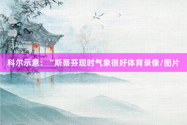 科尔示意：“斯蒂芬现时气象很好体育录像/图片