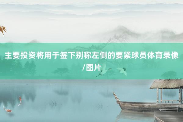 主要投资将用于签下别称左侧的要紧球员体育录像/图片