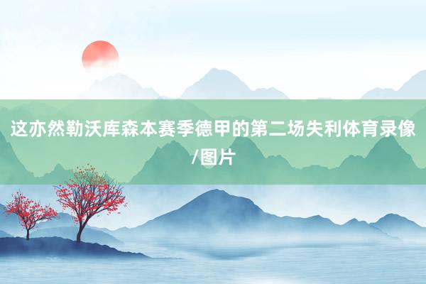 这亦然勒沃库森本赛季德甲的第二场失利体育录像/图片